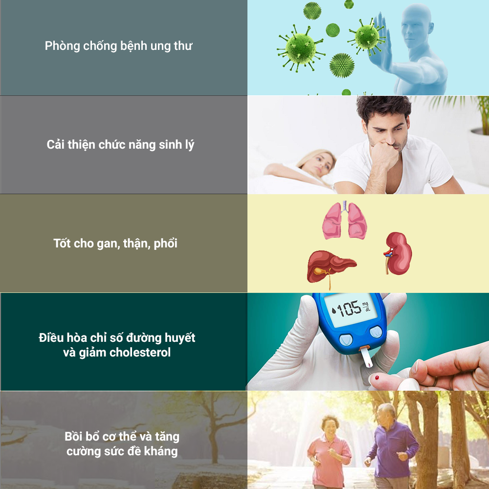 Đông trùng hạ thảo Toro sấy thăng hoa tăng cường sinh lý nam nữ Đông trùng hạ thảo Toro sấy thăng hoa tăng cường sinh lý nam nữ