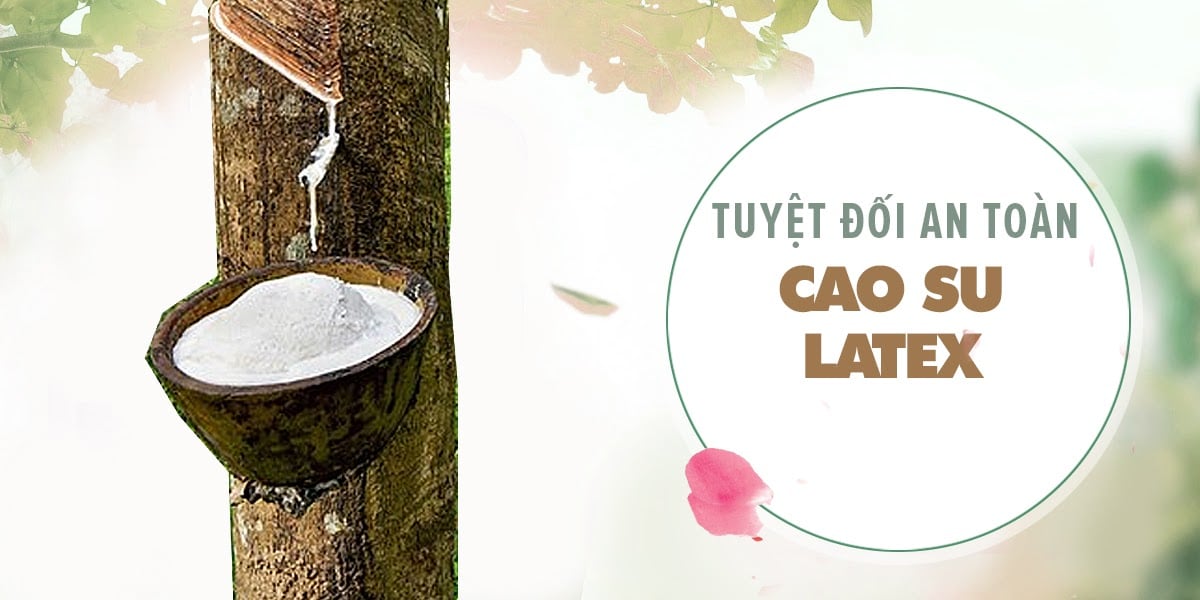 Bao cao su Quinn Nude Fit siêu mỏng chống tuột hộp 12 cái Bao cao su Quinn Nude Fit siêu mỏng chống tuột hộp 12 cái