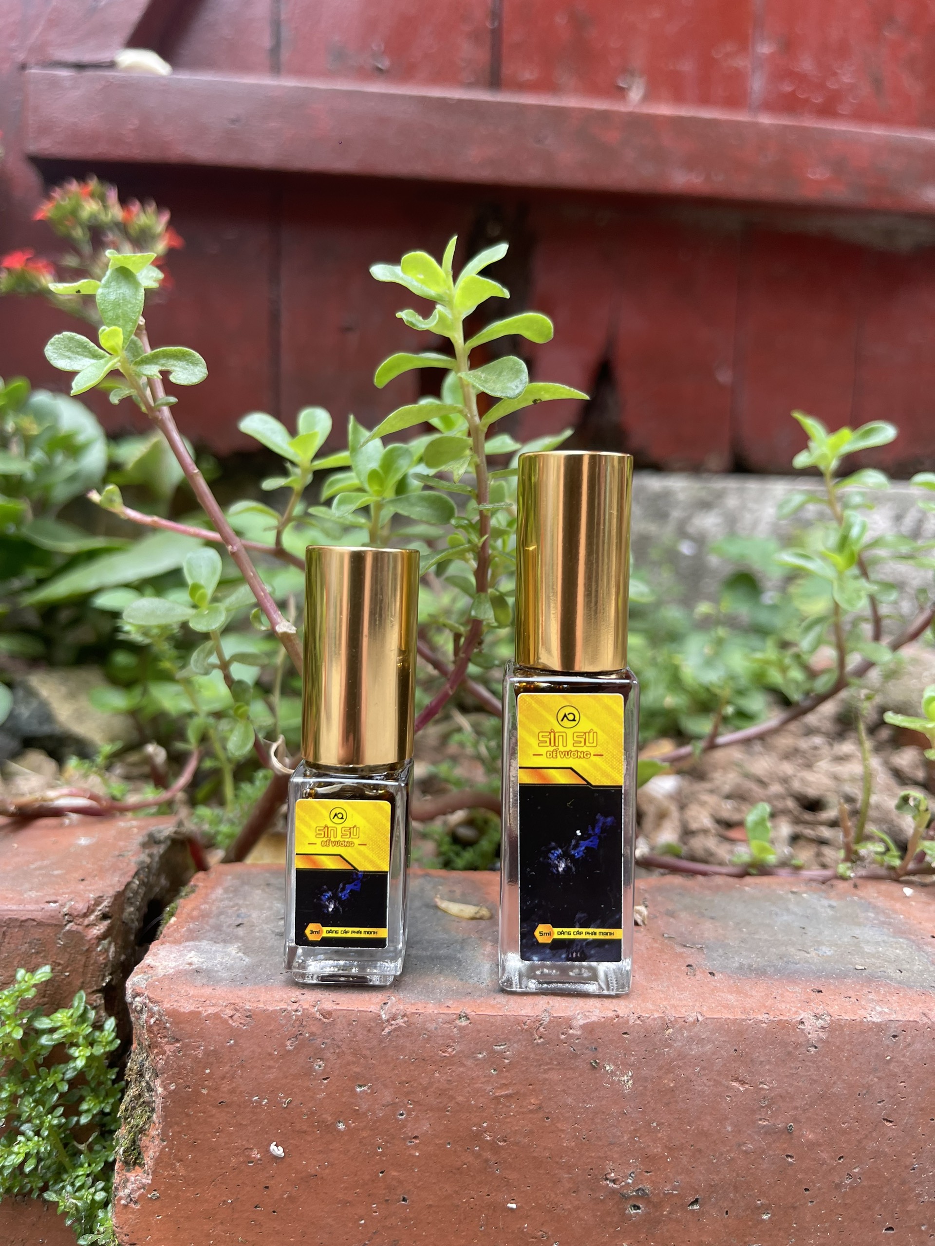 Cao Sìn sú Đế Vương xịt thảo dược Ê Đê Việt Nam tăng sinh lý mạnh mẽ Cao Sìn sú Đế Vương xịt thảo dược Ê Đê Việt Nam tăng sinh lý mạnh mẽ